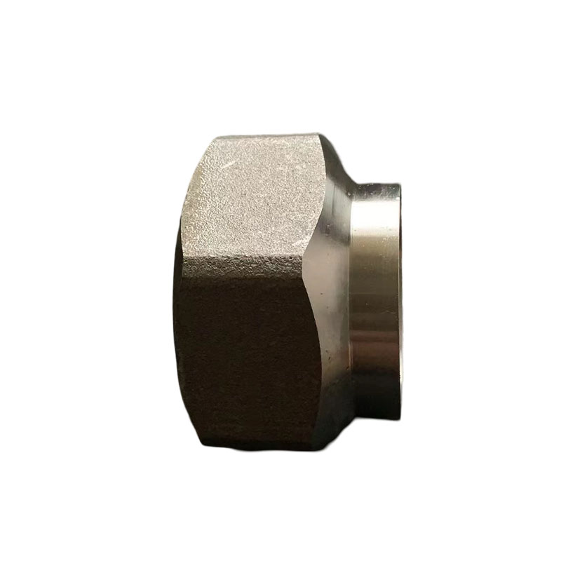 Pipe Fittings 1.5 Inch Female Connector